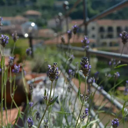 La Casa Di Giobatta Bed and Breakfast *
