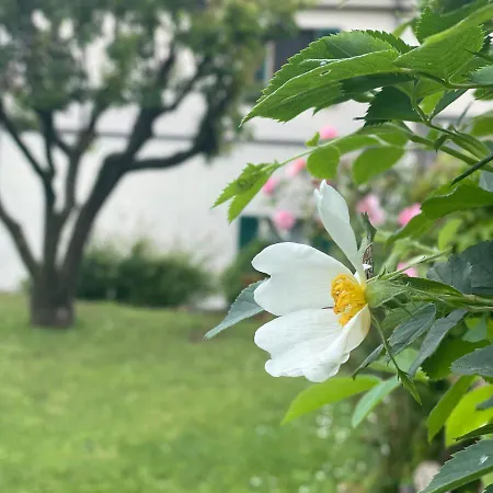 La Casa Di Giobatta 4*