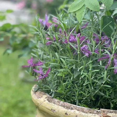 Frühstückspension La Casa Di Giobatta