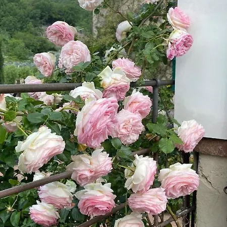 La Casa Di Giobatta B&B 토보산지아코모