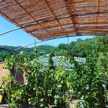 فندق مبيت وإفطار La Casa Di Giobatta 4*