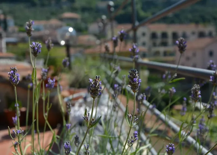 La Casa Di Giobatta Bed & Breakfast 4*