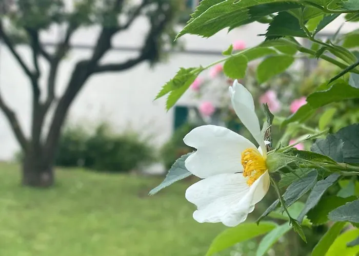 La Casa Di Giobatta 4*