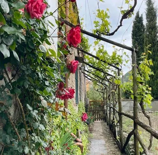 Bed & Breakfast La Casa Di Giobatta Tovo San Giacomo