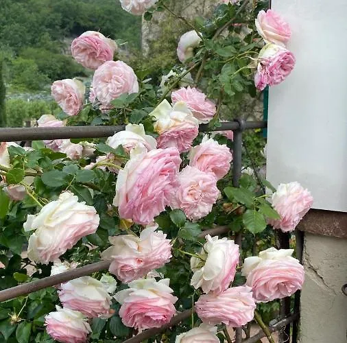 La Casa Di Giobatta Bed & Breakfast Tovo San Giacomo
